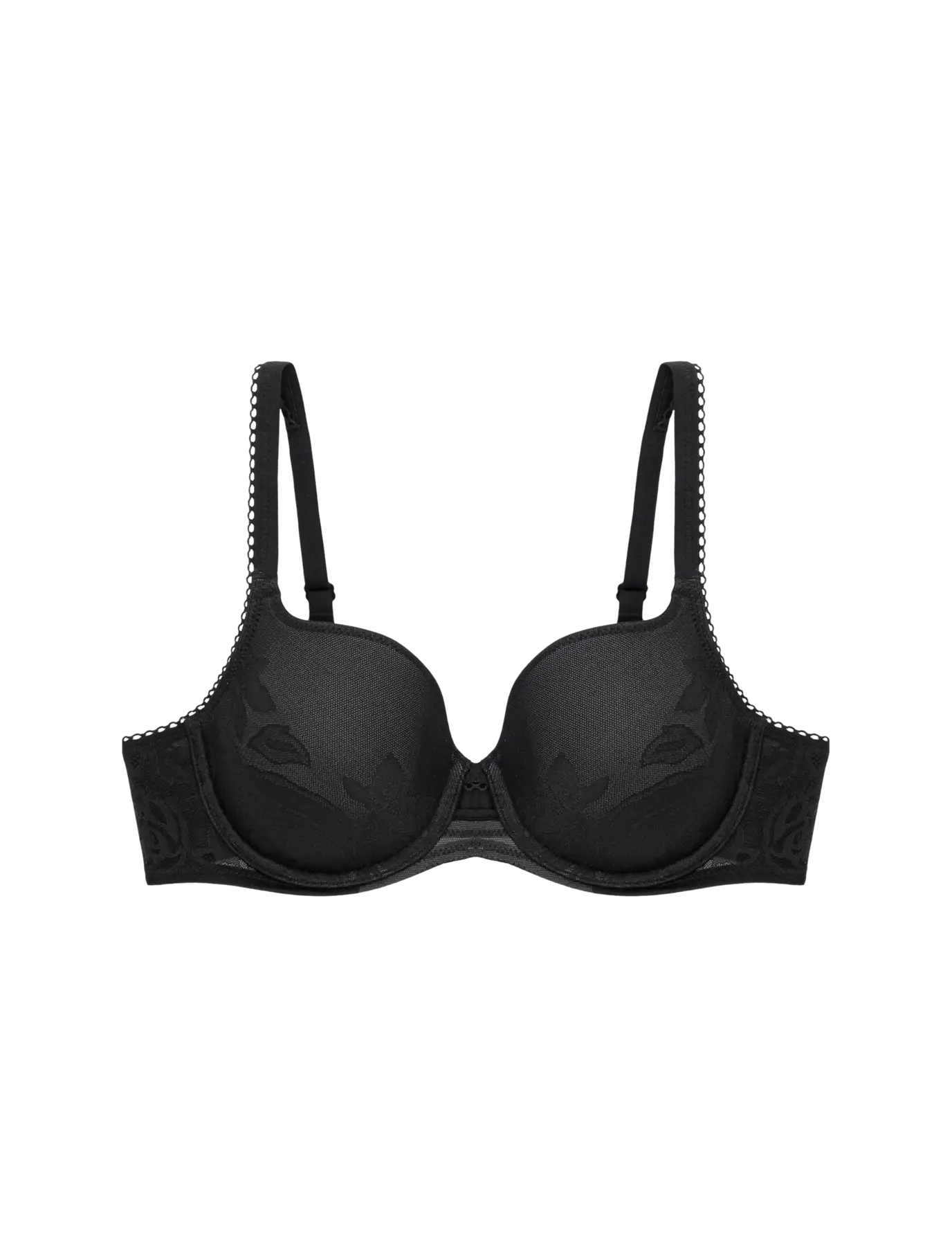 Wild Rose Sensation WP