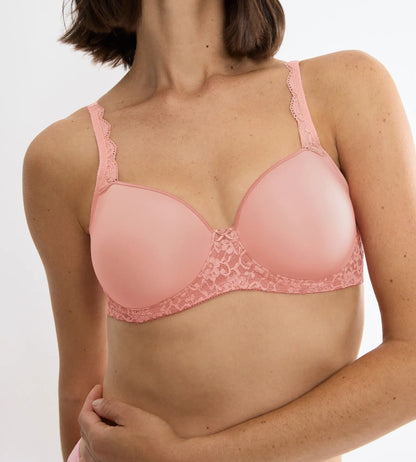 Amourette WP