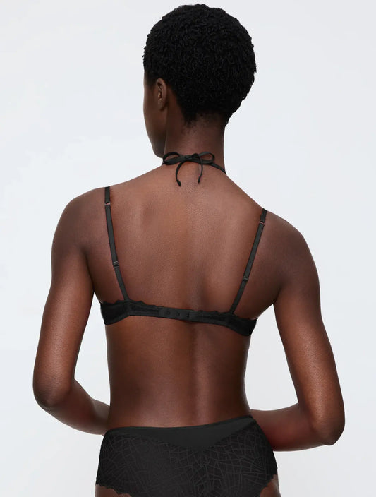 That Night In Vegas WHP